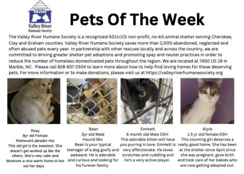 Pets of the Week
