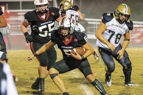 Cannon Crompton/sports@cherokeescout.com Andrews Wildcat LaDannien Rattler runs with the ball in their game against Hayesville on Nov. 1.