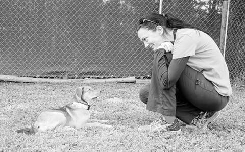 Sue Peet demonstrates how to meet a dog the first time by allowing the dog to approach at its own pace.