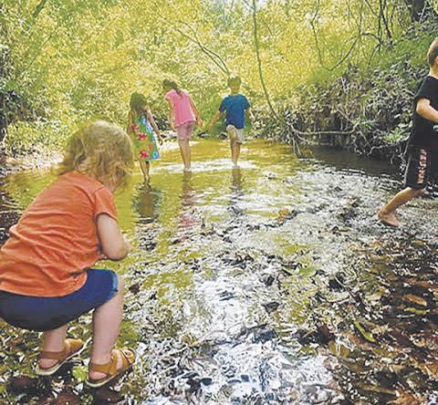Photos by Aiden McCoy Williams/Staff Correspondent The Appalachian Wildlings Forest School meets weekly from 1-5 p.m. Thursdays at the Rivercane Walk by John C. Campbell Folk School in Brasstown.