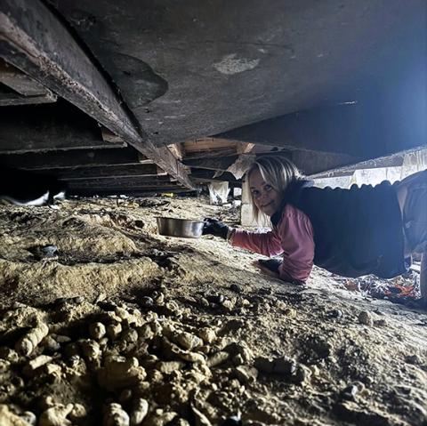 An unidentified staff person with the Valley River Humane Society coaxes cats from beneath a building.