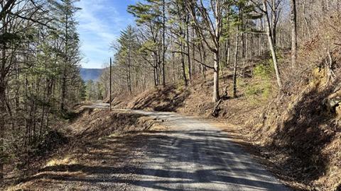 Randy Foster/editor@cherokeescout.com A hiker found the skull of Kamron Peter Rondon in the Burrell Mountain area of northwest Cherokee County on Jan. 23. Law enforcement is seeking information to determine how Rondon died and why he wound up in that remote section of the county.