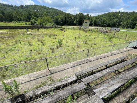 The horse arena at Mountain Folk Center in Ranger has become more overgrown since this 2023 file photo. The arena has been rendered unusable because of drainage issues. Randy Foster/editor@cherokeescout.com 