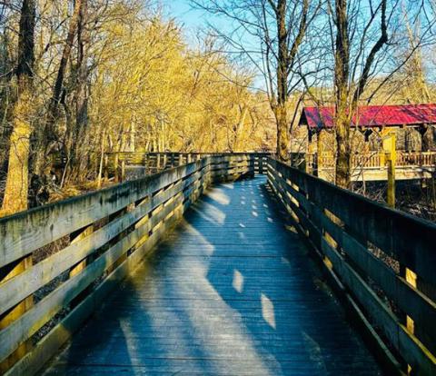 Starting Tuesday, March 4, a section of the Murphy River Walk & Canoe Trail boardwalk will be closed for needed repairs. This section goes from the McClelland Street parking area to the covered bridge (shown in the photo above). Walkers will be able to bypass this section by using the section from the Thomas Street parking area to the covered bridge, where it rejoins the main path. This area will be closed for a few days as rotted posts and boards are replaced.