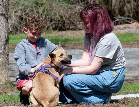 It is important for parents to provide guidance and educate children on how to interact responsibly with dogs.
