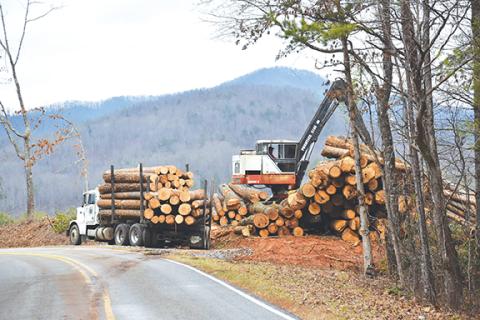Randy Foster/editor@cherokeescout.com A timber crew logs woodlands off of Hiwassee Dam Access Road en route to Violet in February 2023.