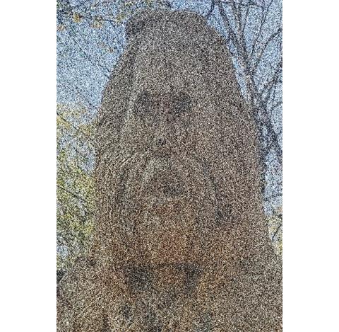 The Cherokee Scout made a bold attempt to capture an image of “Arty MacMurphy” in the wild but, like so many others, were only able to get something that’s not 100% in focus. However, you can see the real deal from 5-8 p.m. Friday, June 6, at The Murphy Art Center downtown.