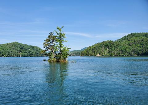 A view of Hiwassee Lake near Beaverdam Creek. Imagine the background with wall to wall houses and docks on the water—which could be coming.