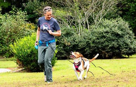 Empowering the bond between a dog and human through the art of walking together.