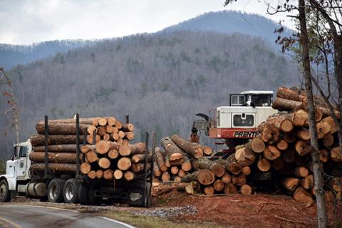 Randy Foster/editor@cherokeescout.com Logging trucks gather timber off of Hiwassee Dam Access Road in western Cherokee County in this 2023 file photo.