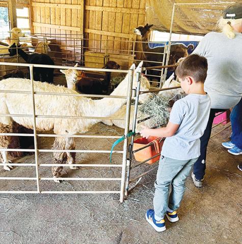 Photos by Aiden McCoy Williams/Staff Correspondent Tours give attendees the opportunity to engage with the animals at Two Crows Farm in Boiling Springs.
