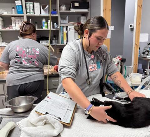 Photos by Aiden McCoy Williams/Staff Correspondent The Tri-State Spay/Neuter & Veterinary Clinic offers an apprenticeship program to help educate about animal care.