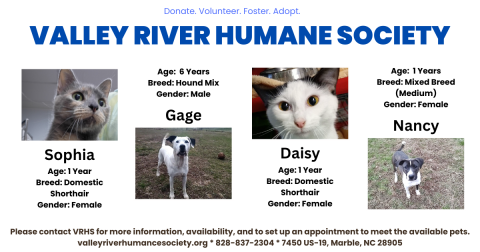 Pet of the Week