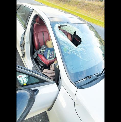 Bald eagle drops cat: The windshield of Melissa Schlarb’s Kia K5 was shattered during a freak accident along U.S. 74 East in Swain County on Nov. 19.