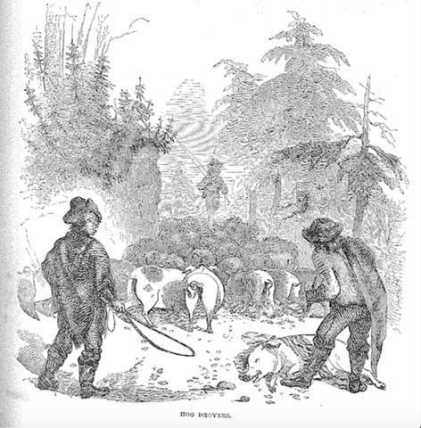 Drovers herding hogs through the Appalachians.
