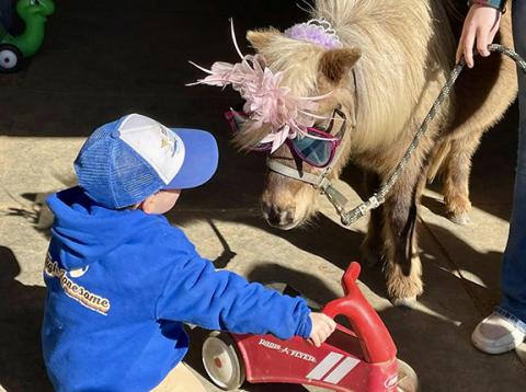 Photos by Aiden McCoy Williams/Staff Correspondent Cheyenne has already spent years bringing joy to children and adults at High Lonesome Therapeutic Equestrian Center and Unaka Community Development Club events.