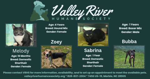 Pets of the Week