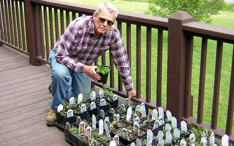 Tom Benecke shows some of the plants he’s taking care of at his home as the Master Gardeners wait to start projects for the Murphy River Walk and Cherokee County Historical Museum.