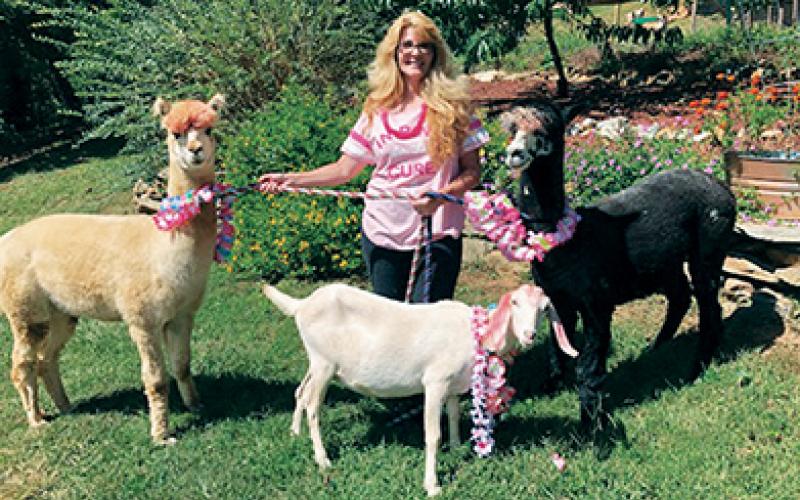 Melissa and Matt Reschke are donating 20 percent of October admission fees at Shaka Alpaca Farm in Murphy to local breast cancer support organizations. Melissa is a survivor of the disease.