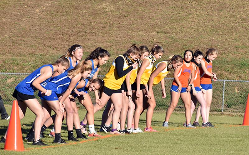 Three of Cherokee County’s girls cross country teams line up ahead of the start of the Bulldog XC Meet 1 on Nov. 18.