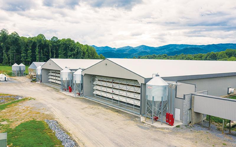 Dutt & Wagner egg farm outside Andrews produces about 500,000 eggs daily, making it one of the largest in the Southeast.