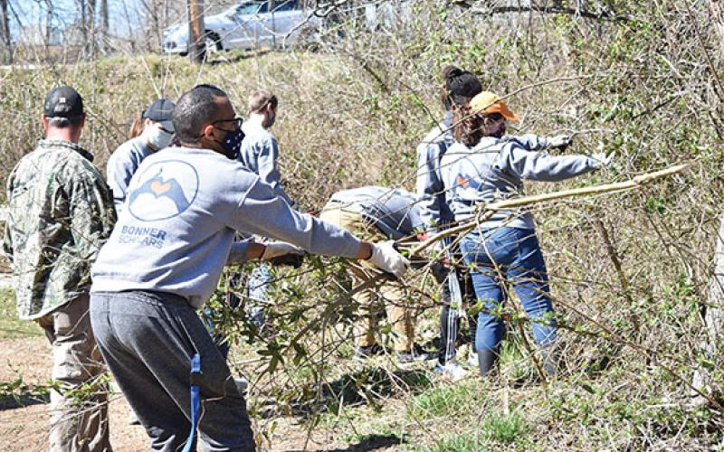 Alexander Nichols (left) and Jeremiah Ellison from Carson-Newman University work hard removing invasive plants from the Murphy River Walk, which allows native vegetation to flourish. 