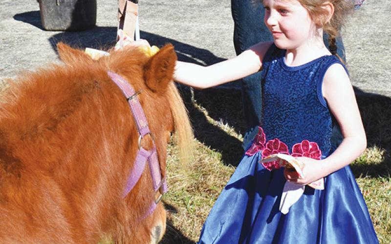 Bill Belian/Contributing Photographer  Clare Williams from Greenville, S.C., enjoyed the opportunity to pet a miniature horse at the petting zoo during Christmas on Main on Nov. 18.