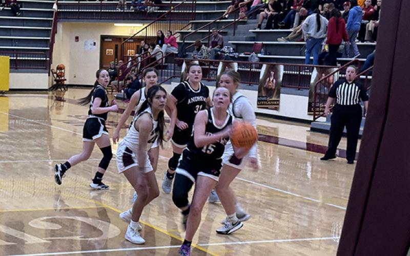 Jeff Tatham/Contributing Photographer Hannah Talkington goes for shot in the Smoky Mountain Conference Tournament on Feb. 13.