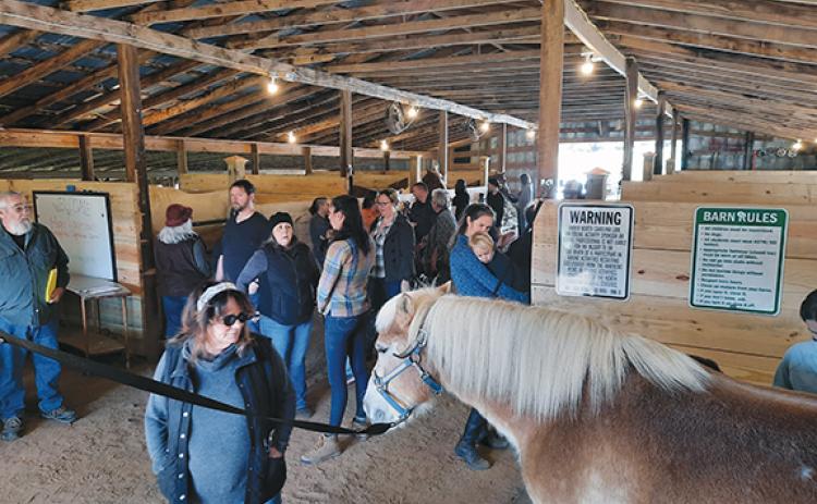 Photos by Bill Belian/Contributing Photographer  A nice crowd came out to High Lonesome Stables for their open house Nov. 6. Ribbon-cutting photo, page 3B.