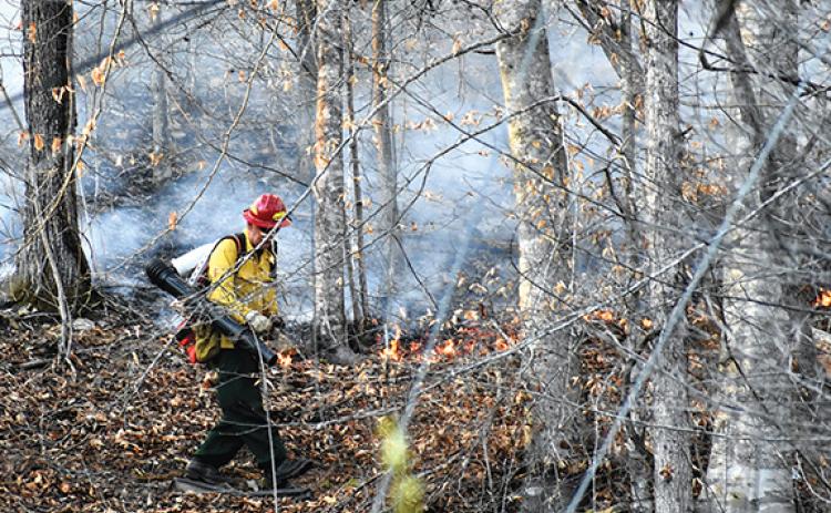 Photos by Randy Foster/editor@cherokeescout.com Fighting fire with fire: A N.C. Forest Service firefighter attacks the woods fire that resulted from a structure fire at 41 Ramsey Estates in Murphy on Feb. 21.