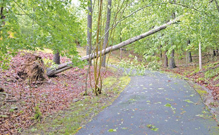 Sam Jokich/Staff Correspondent The thunderstorm that rolled into Cherokee County late on the night of May 7 left behind lots of damages in Peachtree and beyond, including on Shadow Lane in Tar Heel. Cherokee County Emergency Management said the area “experienced significant storm damage overnight.”